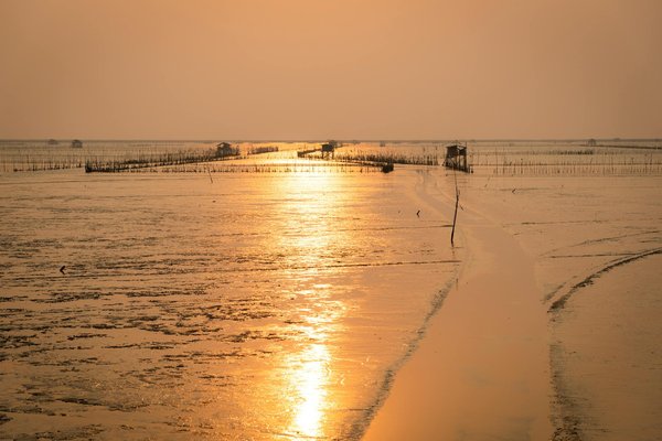 Quels sont les meilleurs itinéraires pour une randonnée sur le Camino Portugués, Portugal?